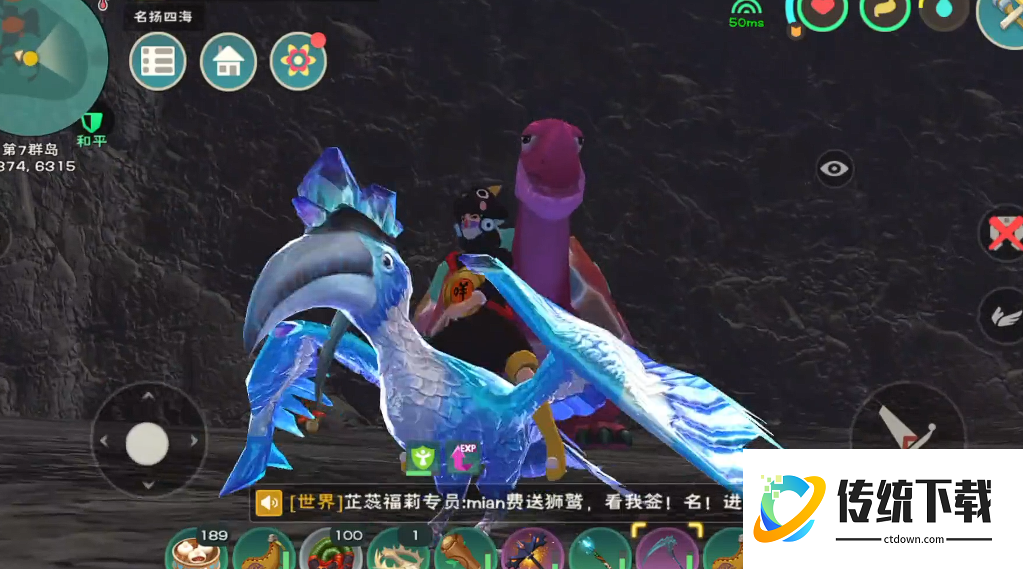 创造与魔法彩壳龟在哪