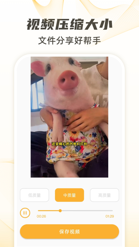 视频下载手机版