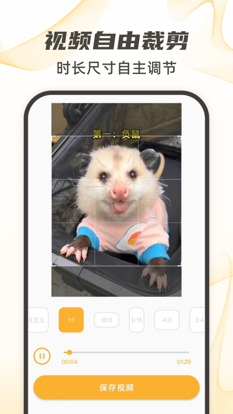 视频下载手机版