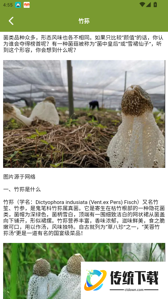 蘑菇识别官方版