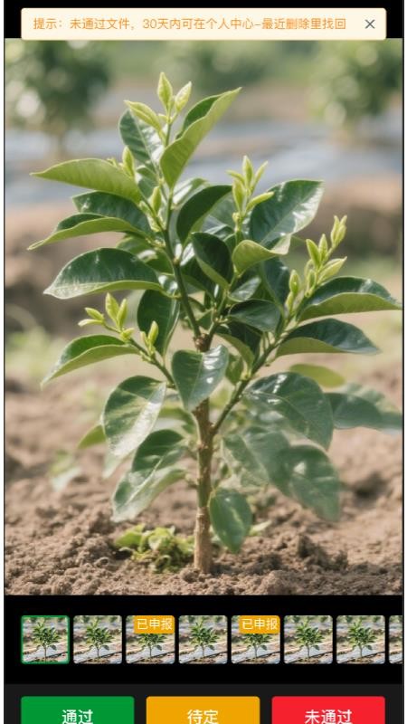 汇创农采通官网版