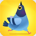 疯狂的鸽子官方正版