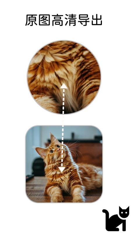 小猫边框最新版