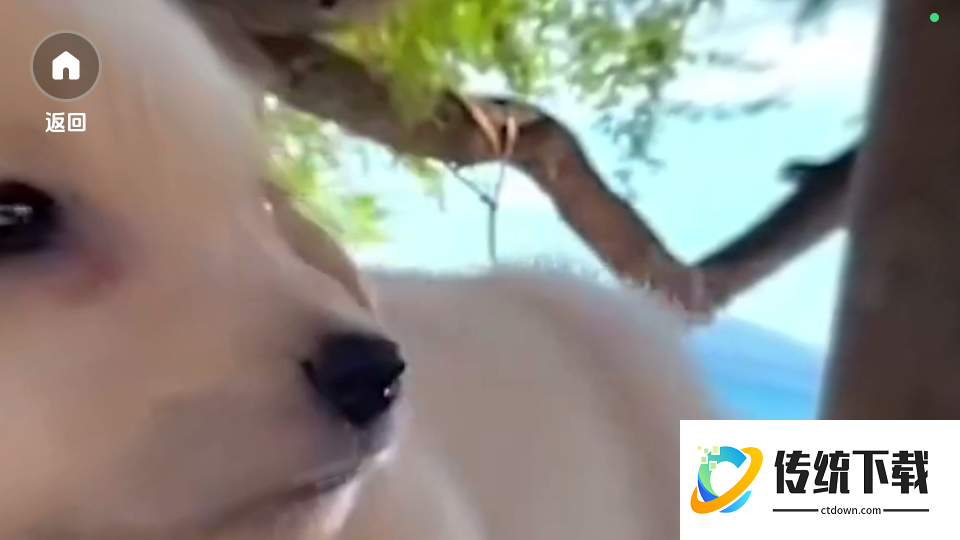 3D实境模拟器免费版