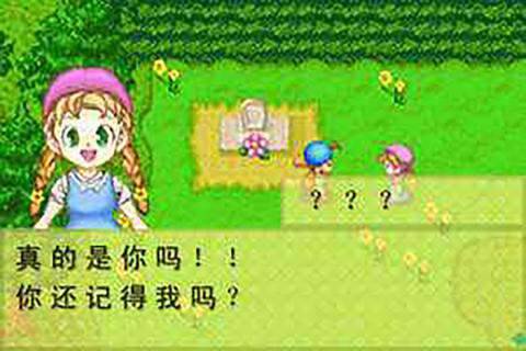 牧场物语男孩版