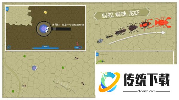 动物进化论