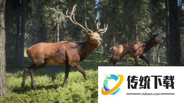 猎人荒野的召唤