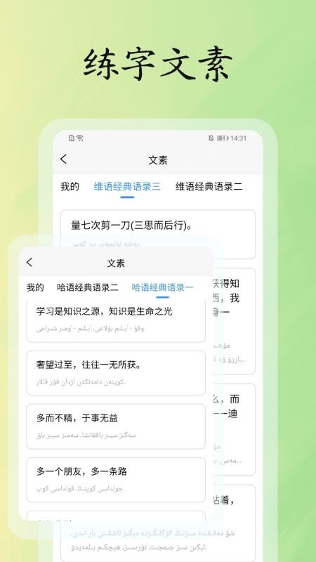维哈书法练字大师最新版