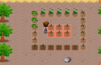 牧场物语女孩版