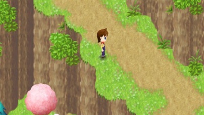 牧场物语女孩版