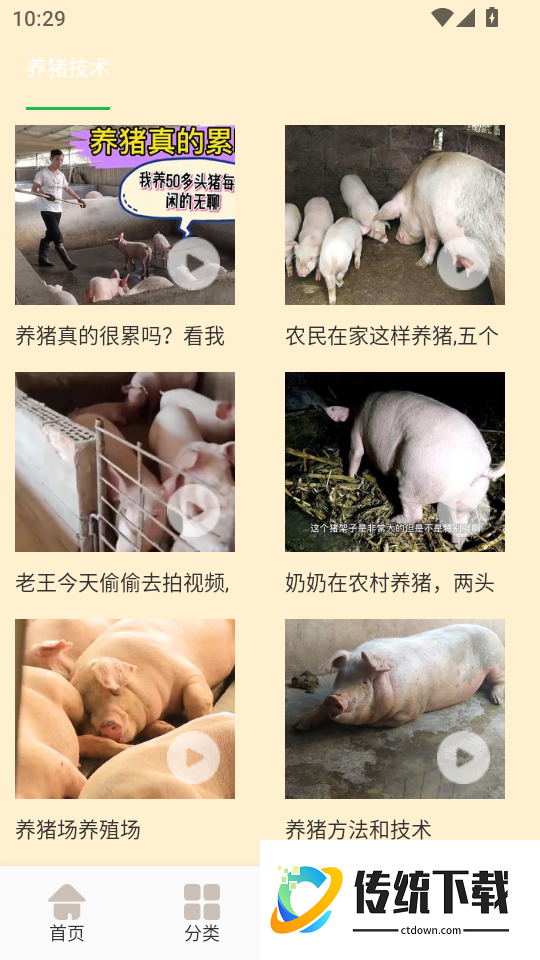 全民养猪场官网版