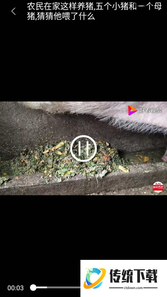 全民养猪场官网版