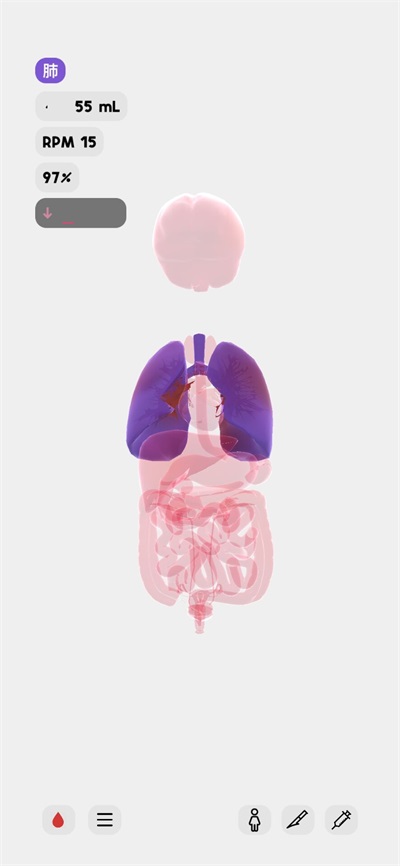 生命人体模拟器