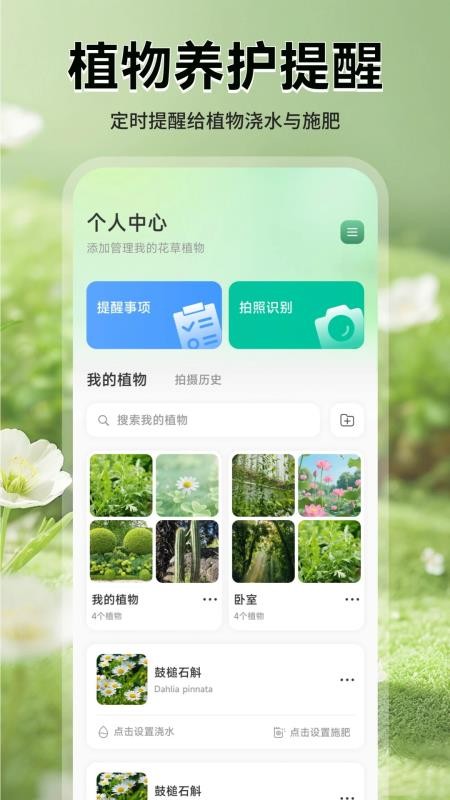 花团锦绣拾光最新版
