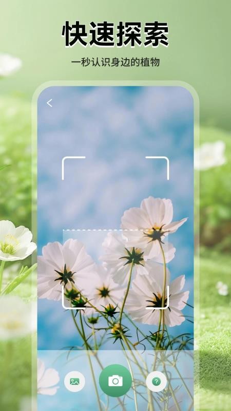 花团锦绣拾光最新版