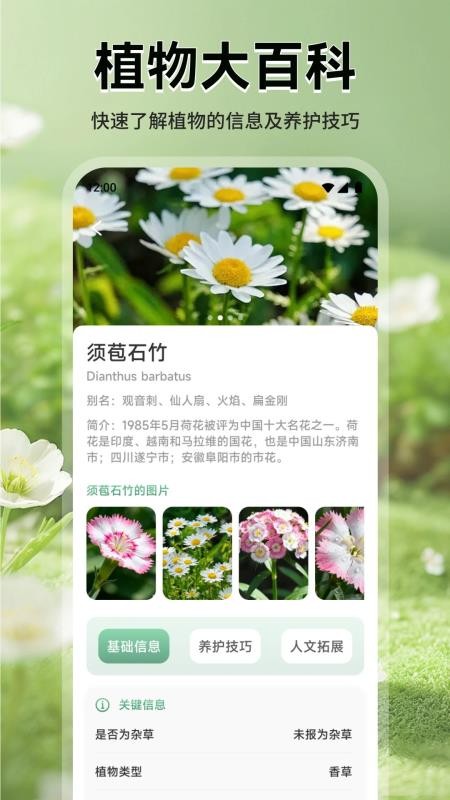花团锦绣拾光最新版