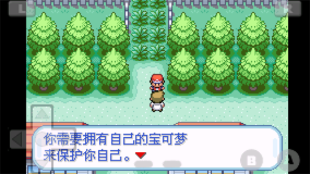 口袋妖怪最后的火红