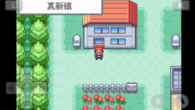 口袋妖怪最后的火红