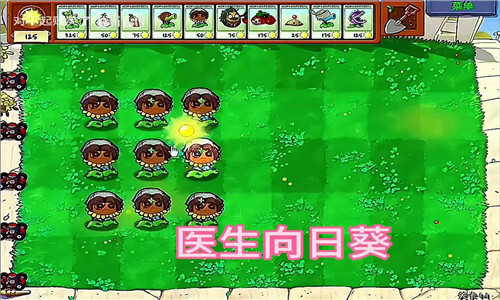 PVZ金铲铲版