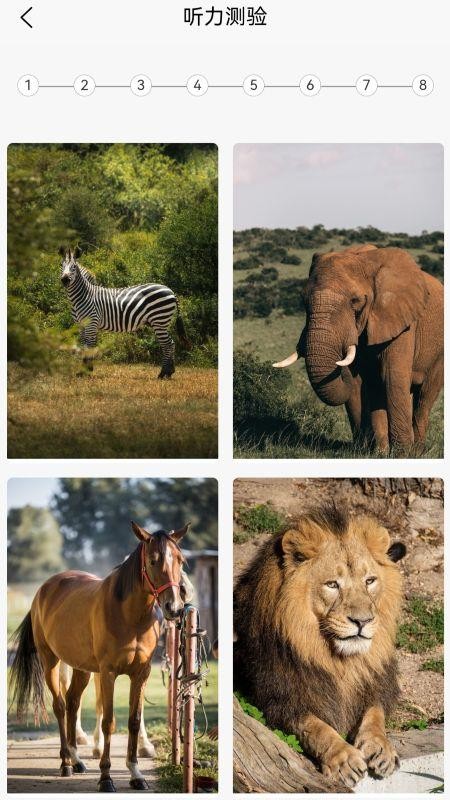 英语分级兔免费版