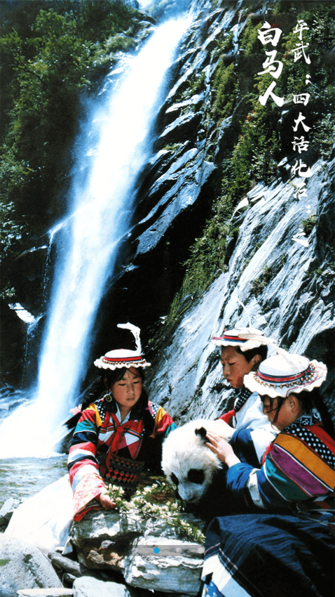 直播平武客户端