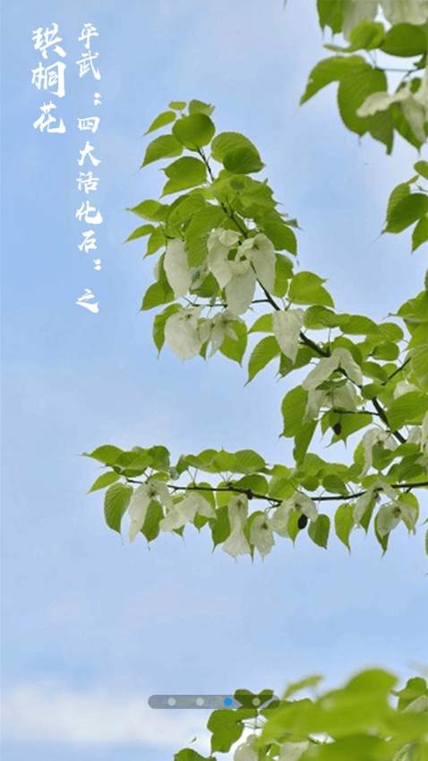 直播平武客户端