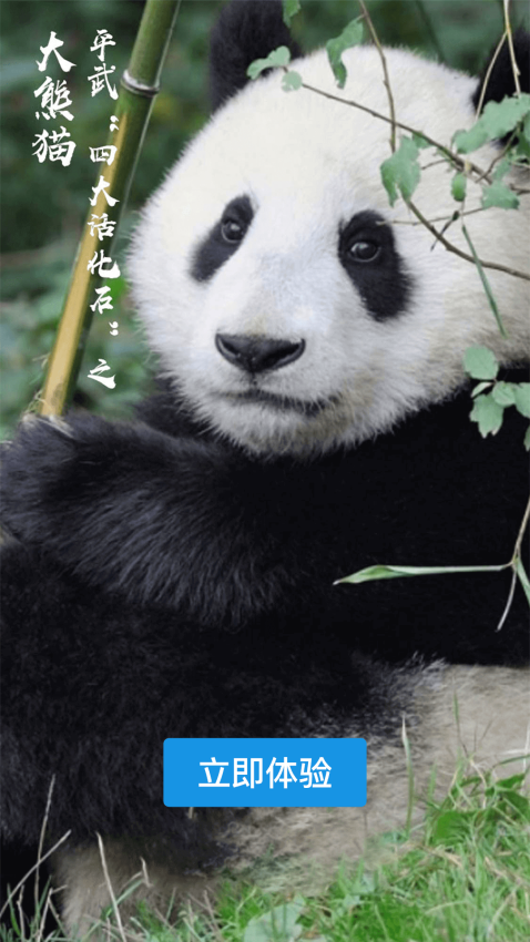 直播平武客户端