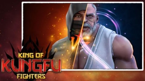 功夫之王中文版