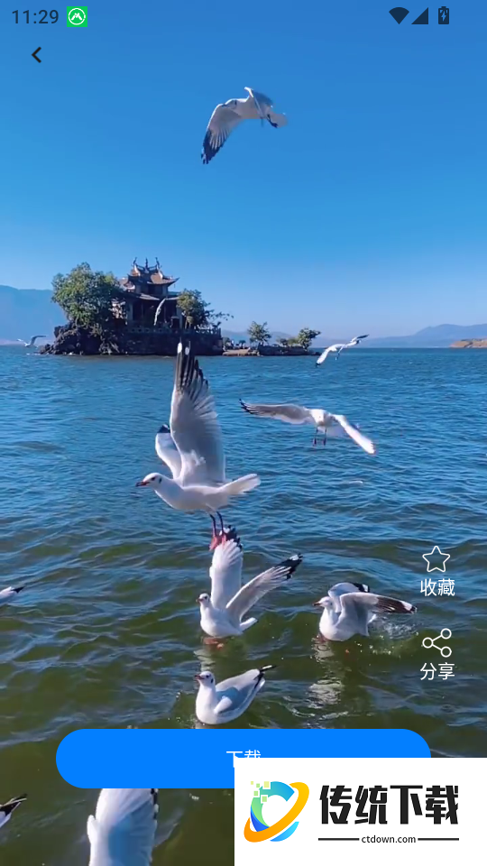 主题免费壁纸志慧手机版