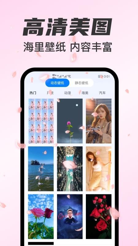主题免费壁纸志慧手机版