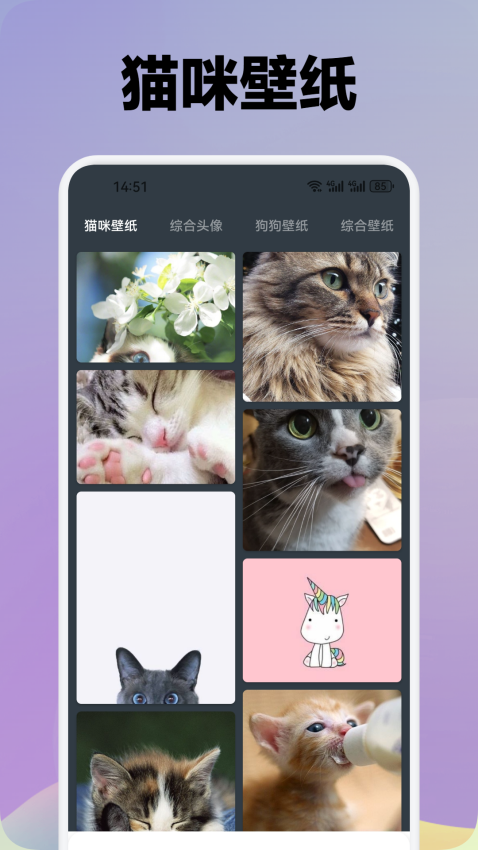 我家猫舍app手机版