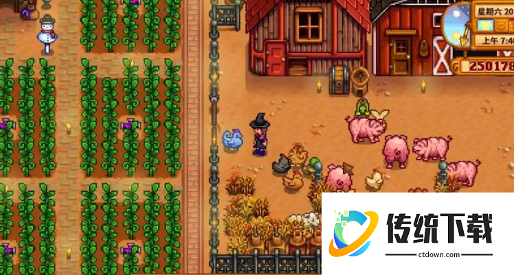 星露谷物语怎么防止女巫捣乱