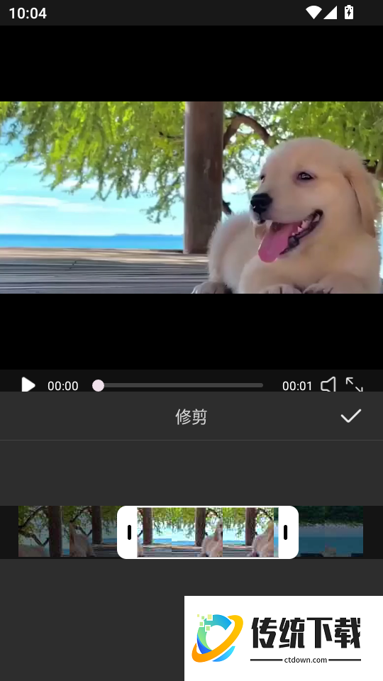 悟空免费播放器官网版