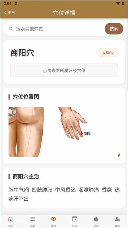 穴位图谱大全官方版