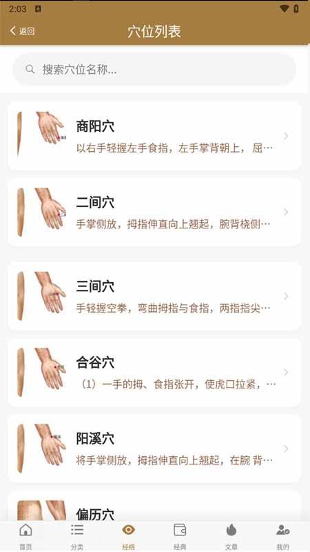 穴位图谱大全官方版