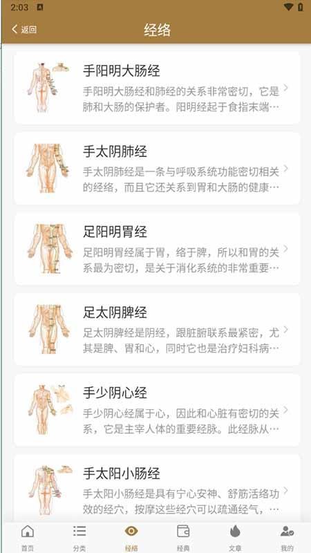 穴位图谱大全官方版