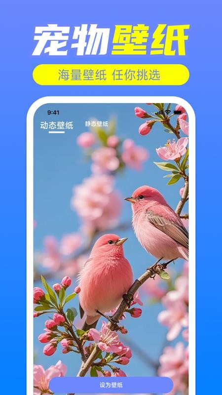 鸟语翻译神器官网版