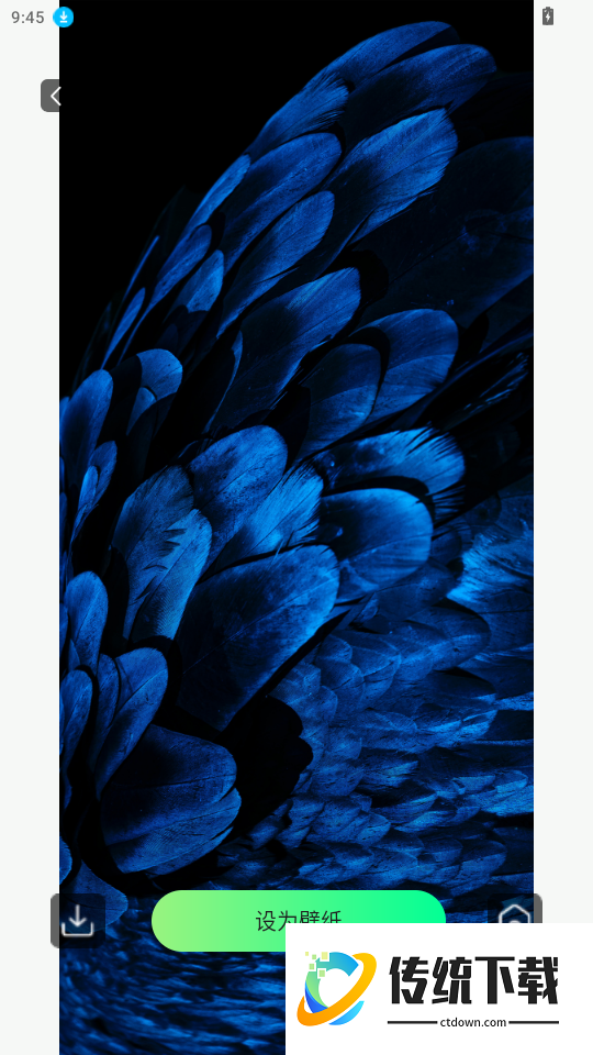 手机铃声来电多官网版