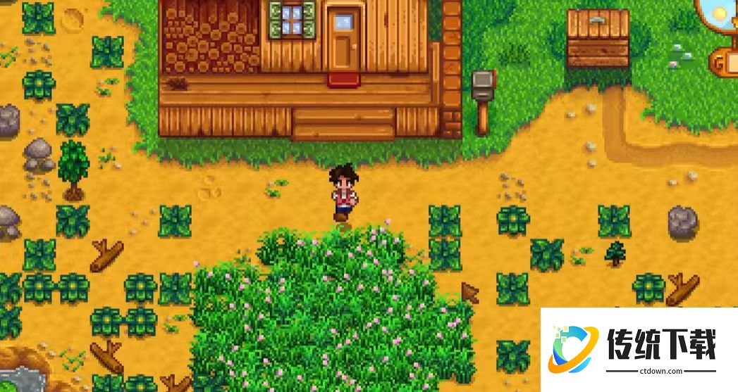 星露谷物语开场选什么农场好