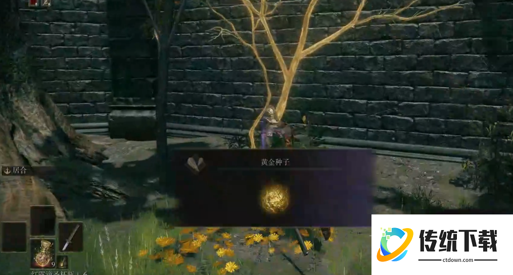 艾尔登法环一开始干什么