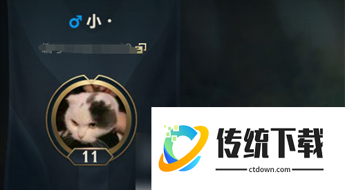 lol手游名字一个字怎么弄:具体介绍