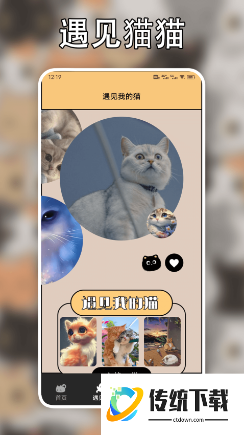 遇见我的猫app