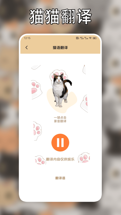 遇见我的猫app