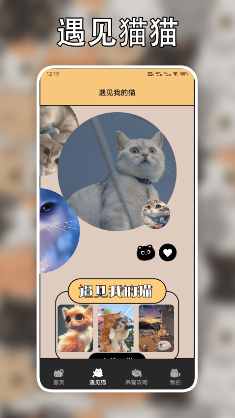 遇见我的猫app
