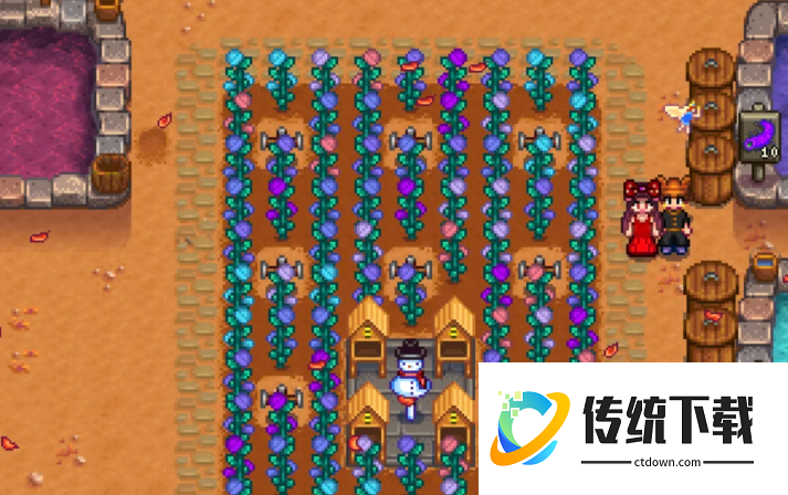 星露谷物语仙子花园任务怎么做 星露谷物语仙子花园任务怎么做