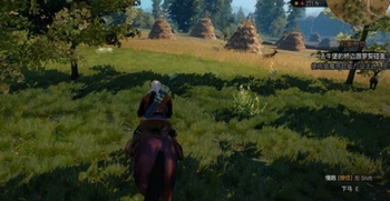 巫师3为什么马不能快跑了？巫师3马不能急速奔跑解决办法