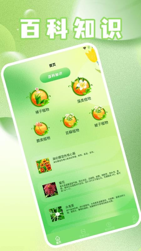 花开朵朵官网版