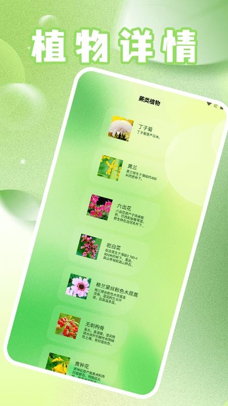 花开朵朵官网版