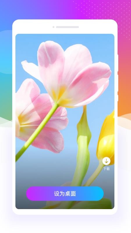 元气口袋壁纸免费版