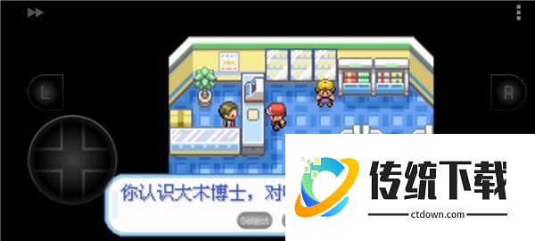 口袋妖怪叶绿版